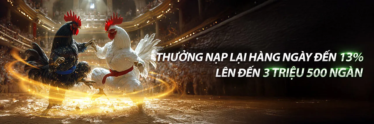 Đá Gà Trực Tuyến VNA188
